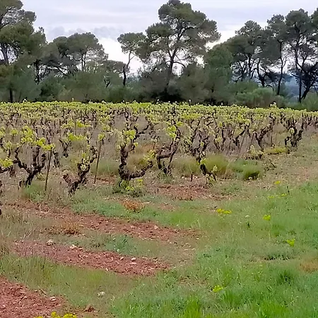 Alaric Lodge: Champetre Avec Parking Prive. Ferienhaus Comigne